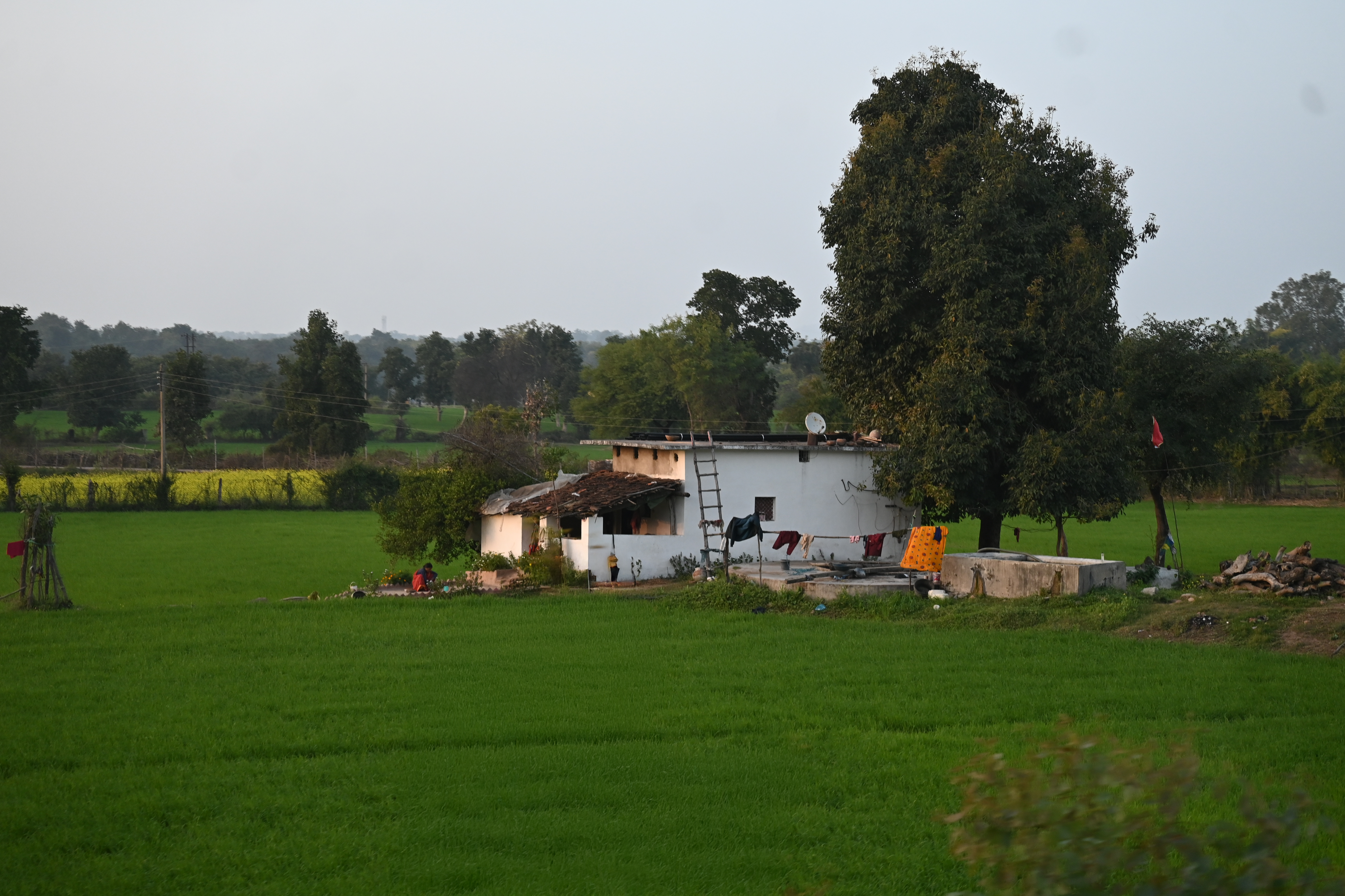 Photography 8